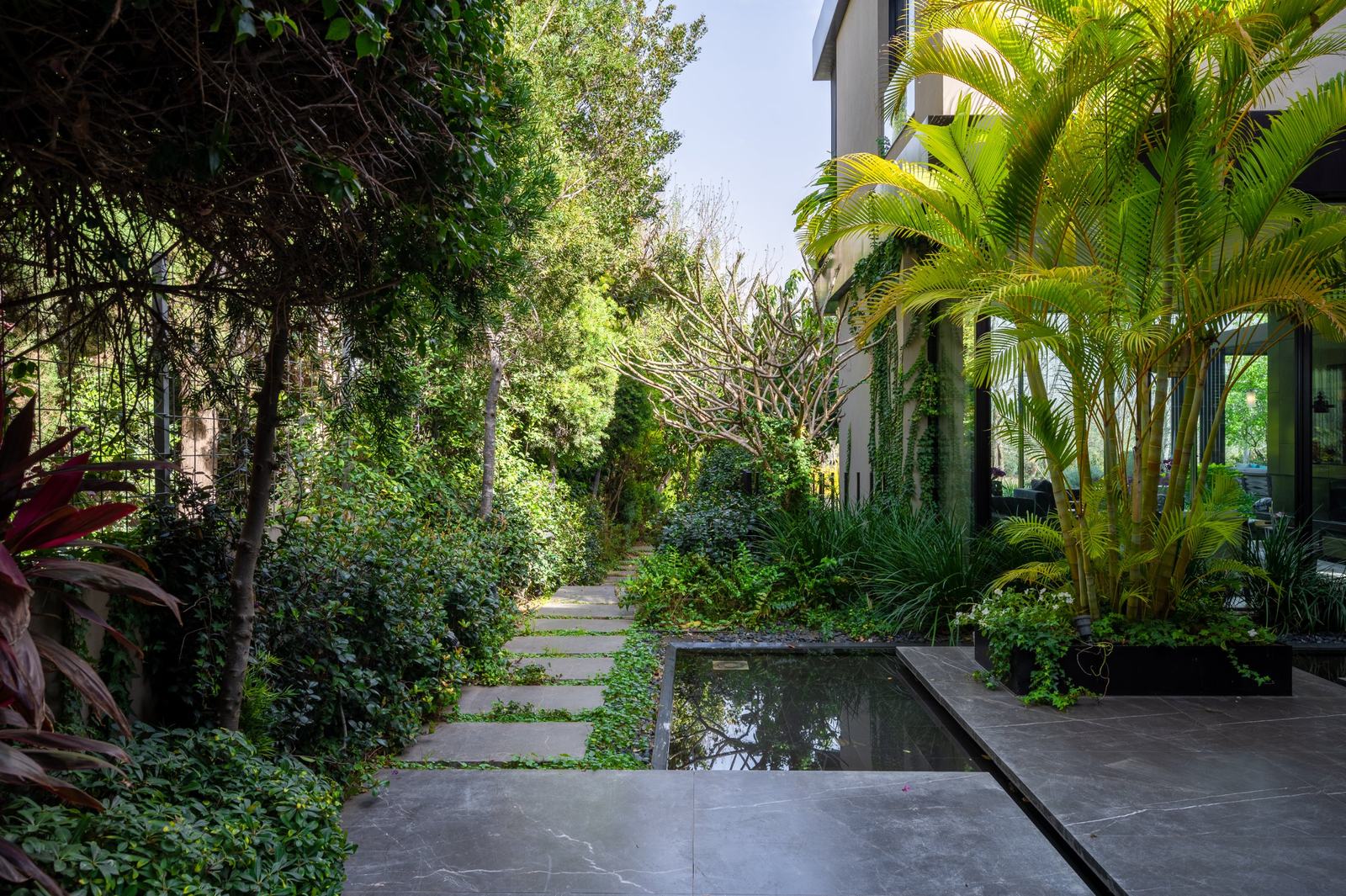 Bamboo courtyard house, photographed by Re-Capture